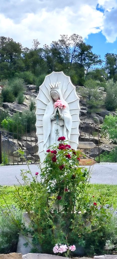 wp-17526982449393865019606467930810